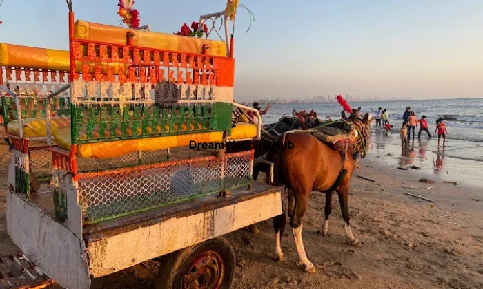 Gautam Event Pvt Ltd